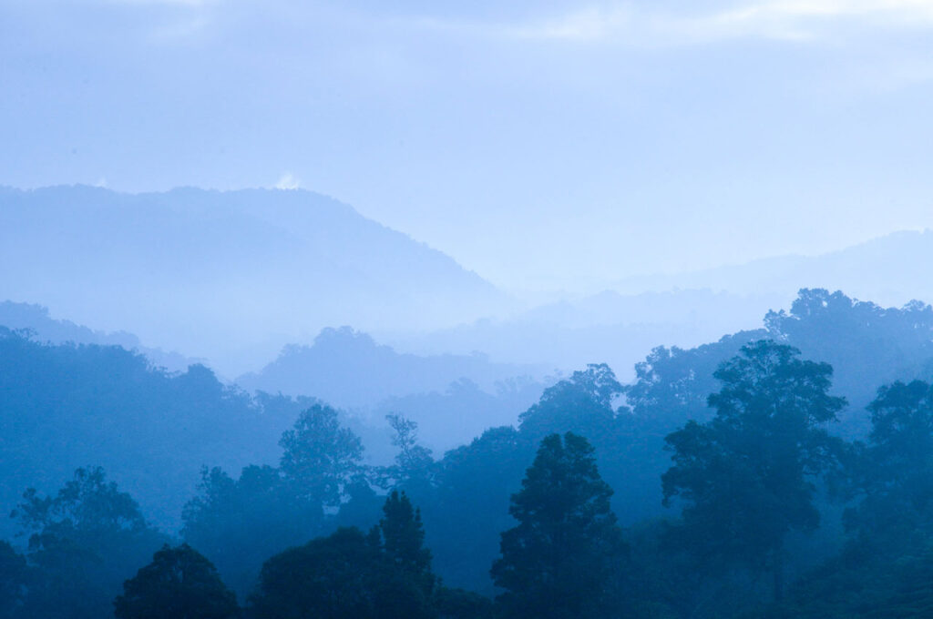 NCG – Next Century Growth Investors