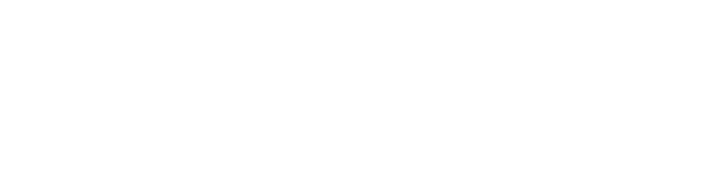 NCG – Next Century Growth Investors