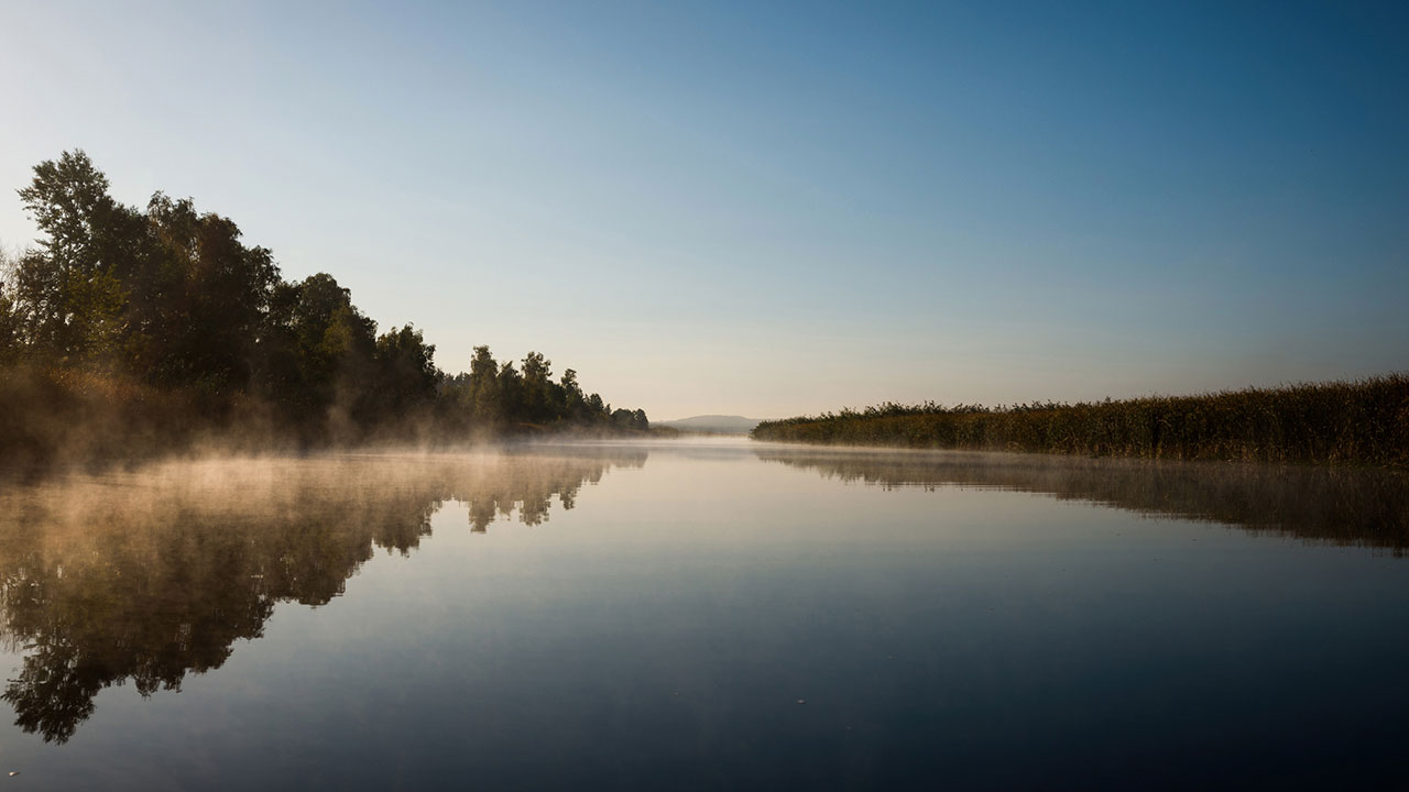 foggy river